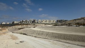 י.ד. ברזאני