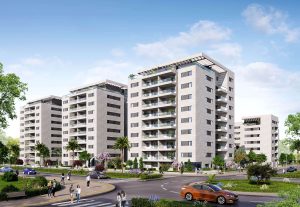 באדיבות החברה; בתמונה - פרץ בוני הנגב בעיר היין